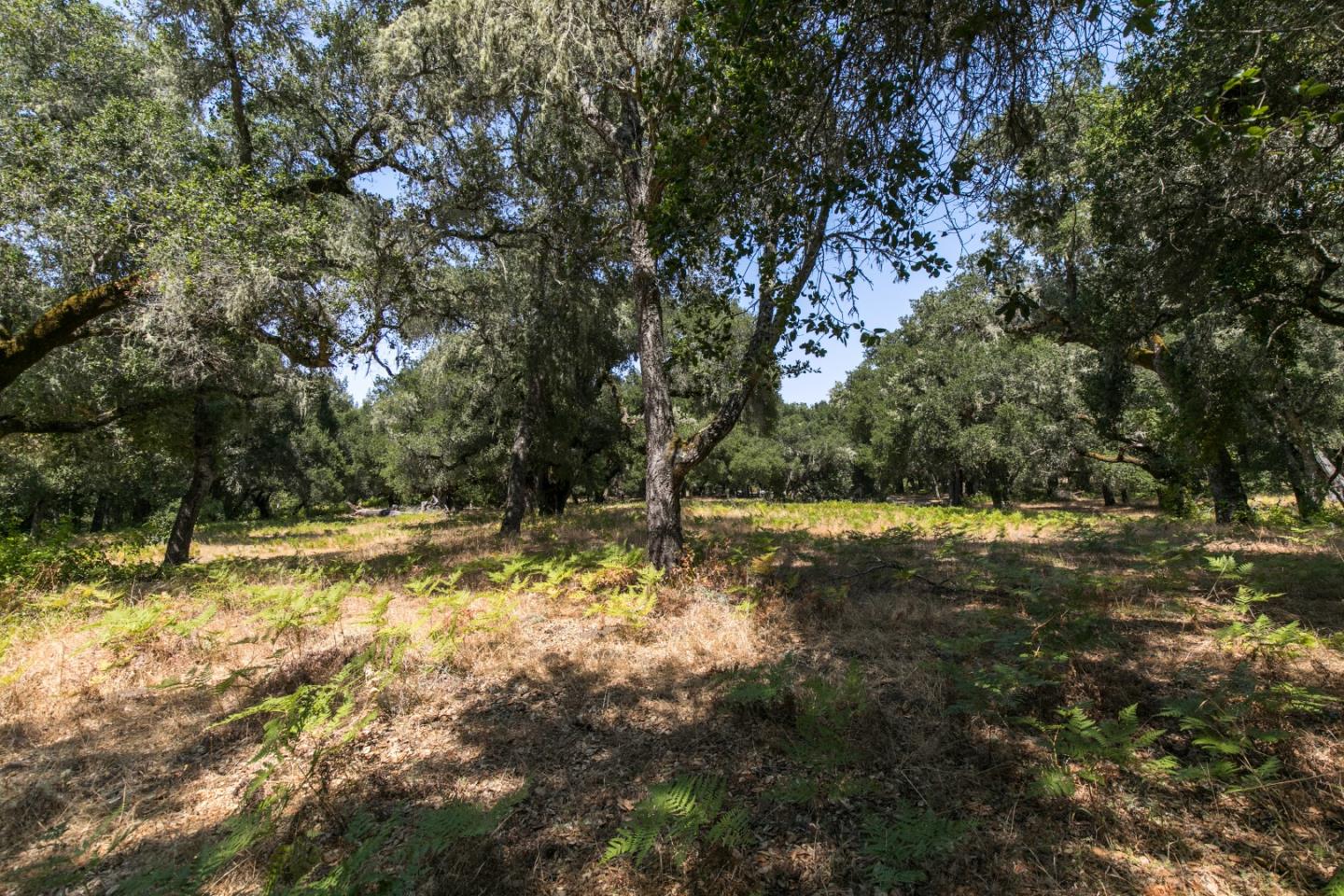 12 Arroyo Sequoia, CARMEL, California 93923, ,Lots And Land,For Sale,Arroyo Sequoia,40965630
