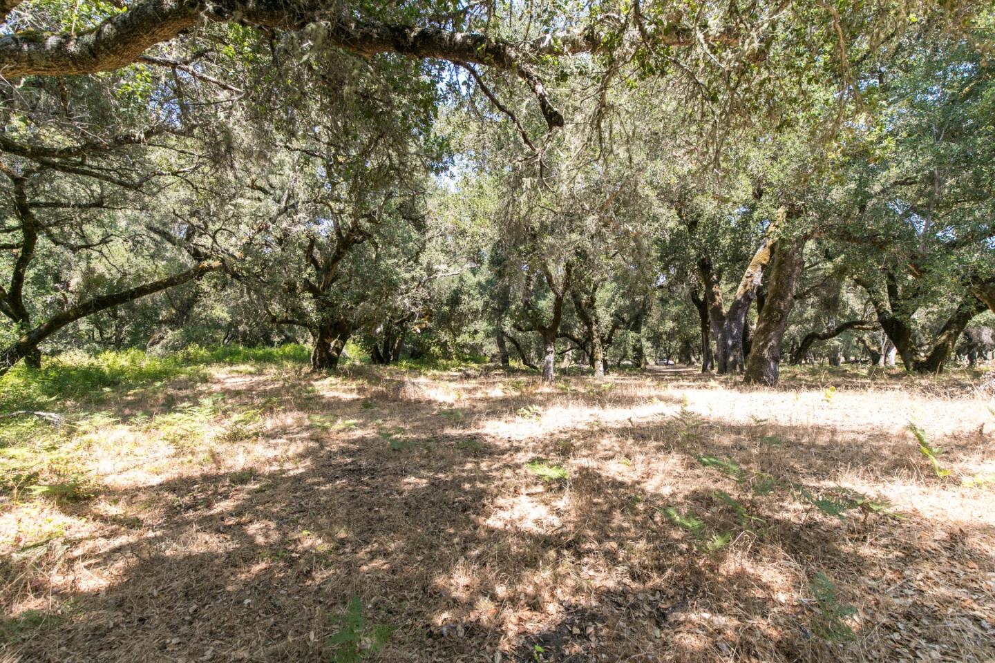 12 Arroyo Sequoia, CARMEL, California 93923, ,Lots And Land,For Sale,Arroyo Sequoia,40965630
