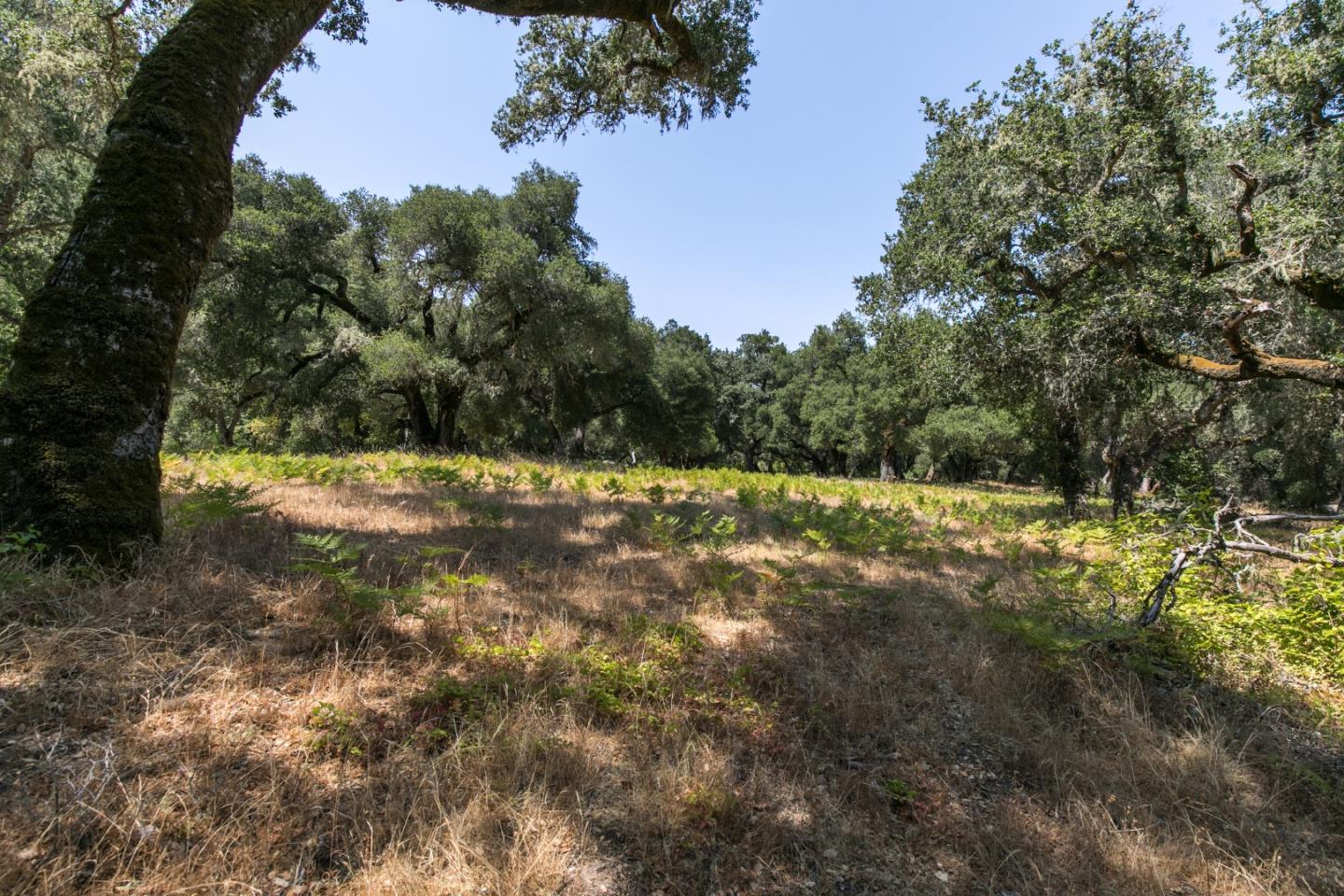 12 Arroyo Sequoia, CARMEL, California 93923, ,Lots And Land,For Sale,Arroyo Sequoia,40965630
