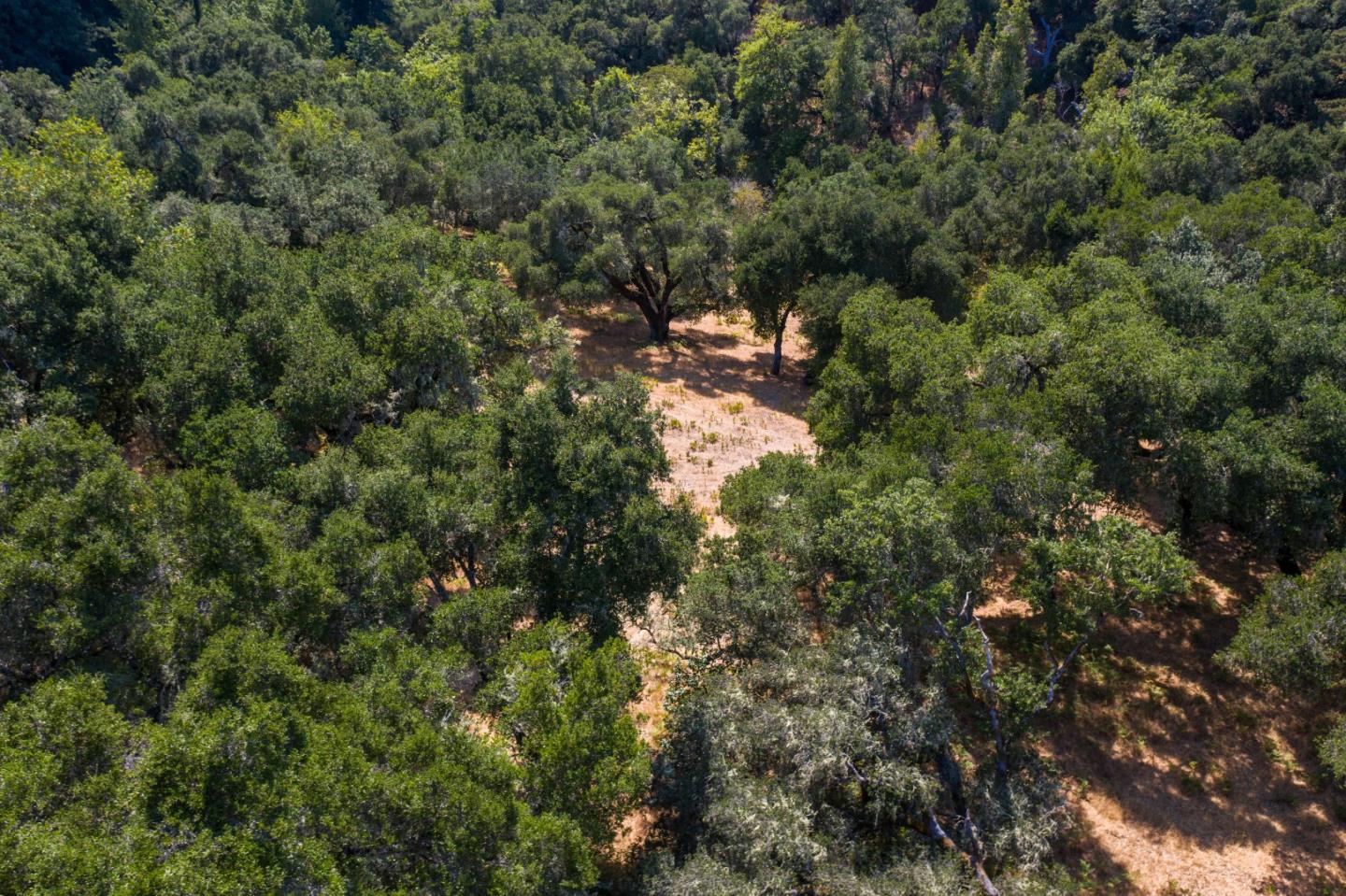 12 Arroyo Sequoia, CARMEL, California 93923, ,Lots And Land,For Sale,Arroyo Sequoia,40965630