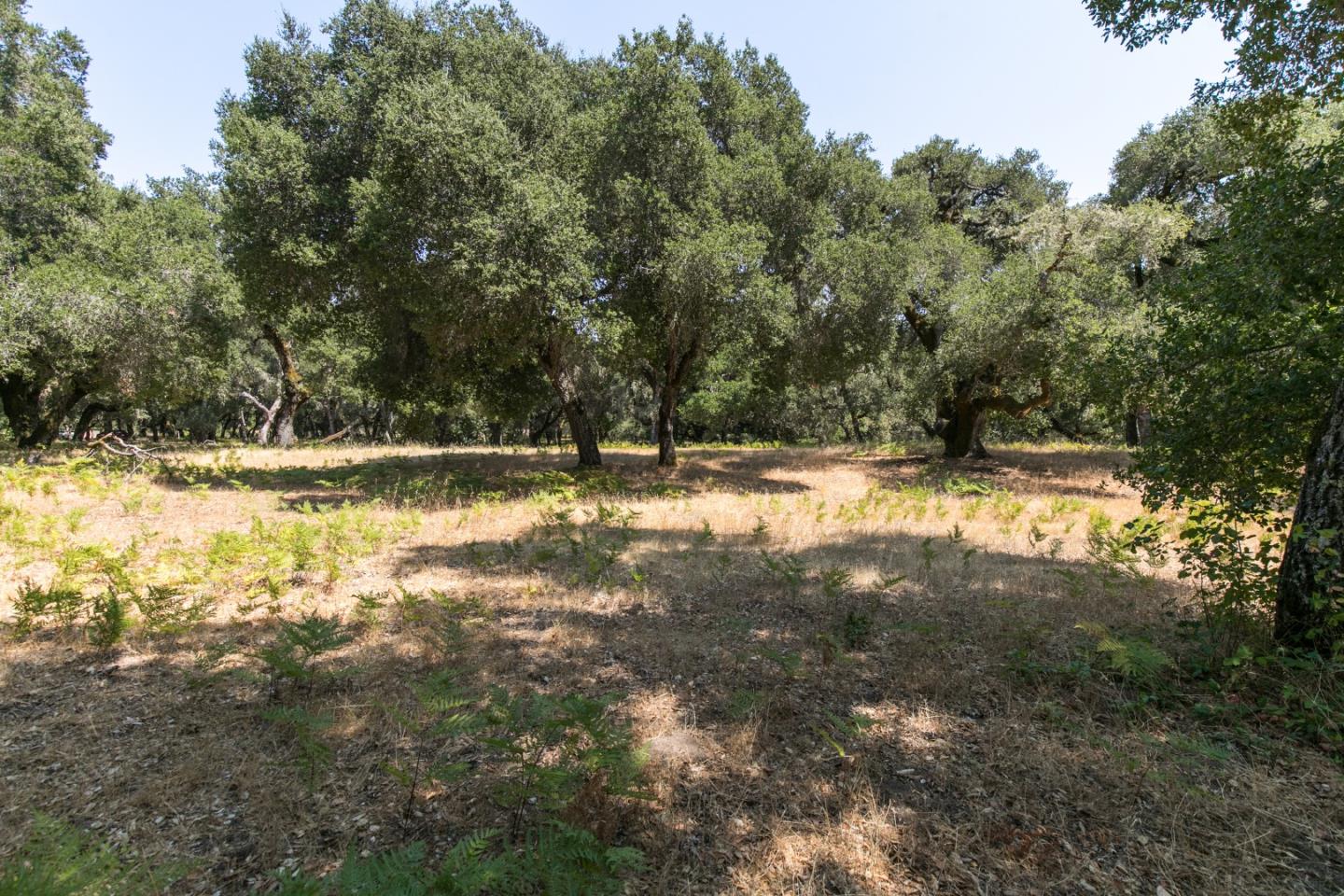 12 Arroyo Sequoia, CARMEL, California 93923, ,Lots And Land,For Sale,Arroyo Sequoia,40965630