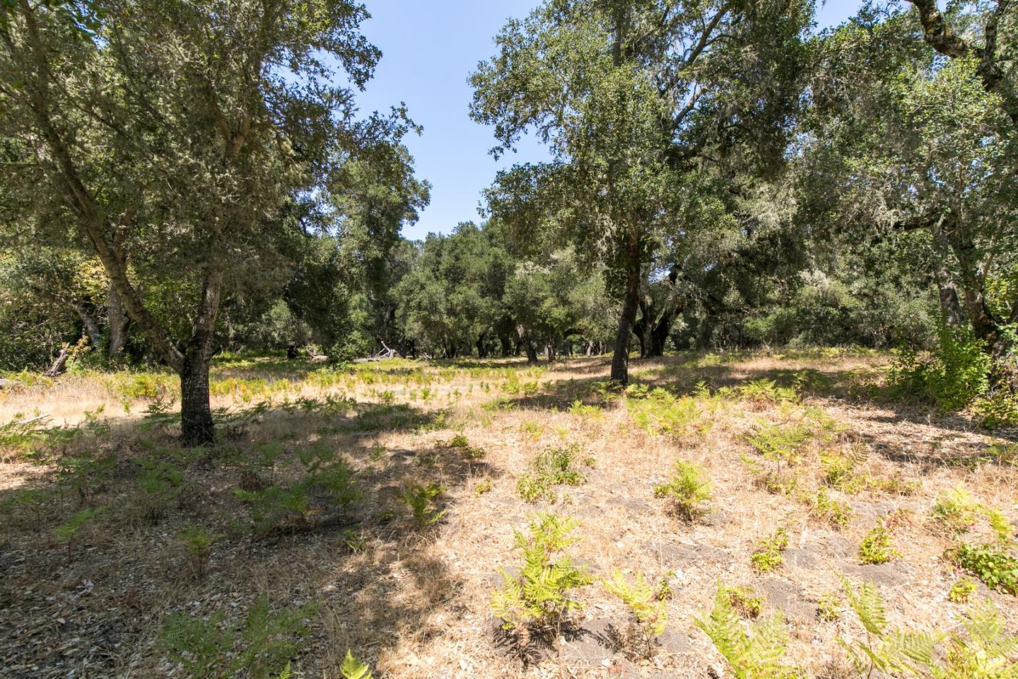 12 Arroyo Sequoia, CARMEL, California 93923, ,Lots And Land,For Sale,Arroyo Sequoia,40965630