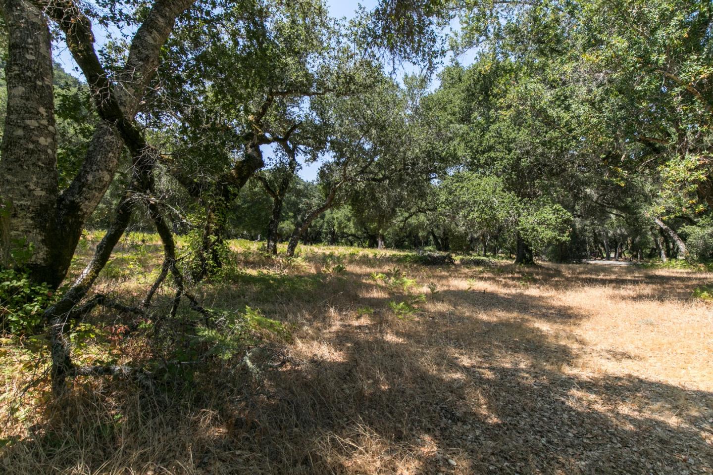 12 Arroyo Sequoia, CARMEL, California 93923, ,Lots And Land,For Sale,Arroyo Sequoia,40965630