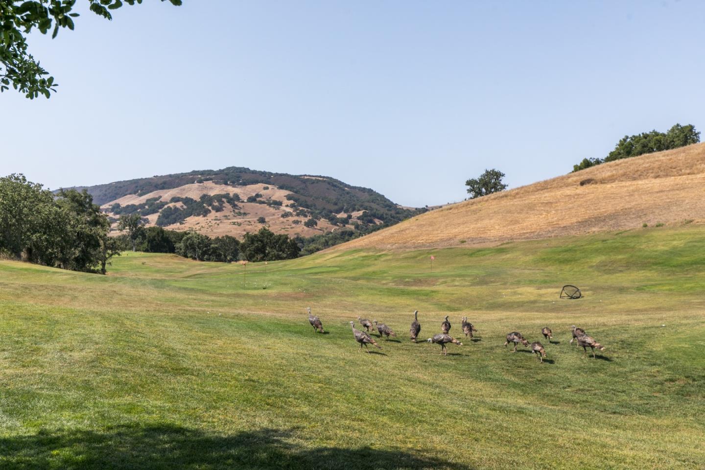 12 Arroyo Sequoia, CARMEL, California 93923, ,Lots And Land,For Sale,Arroyo Sequoia,40965630