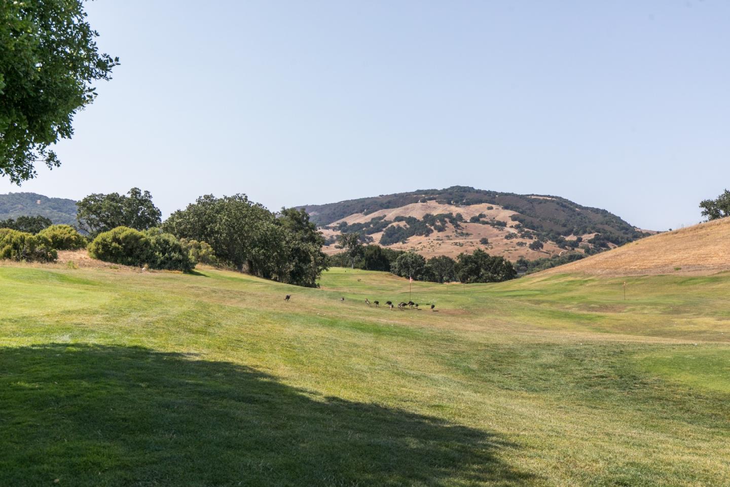 12 Arroyo Sequoia, CARMEL, California 93923, ,Lots And Land,For Sale,Arroyo Sequoia,40965630