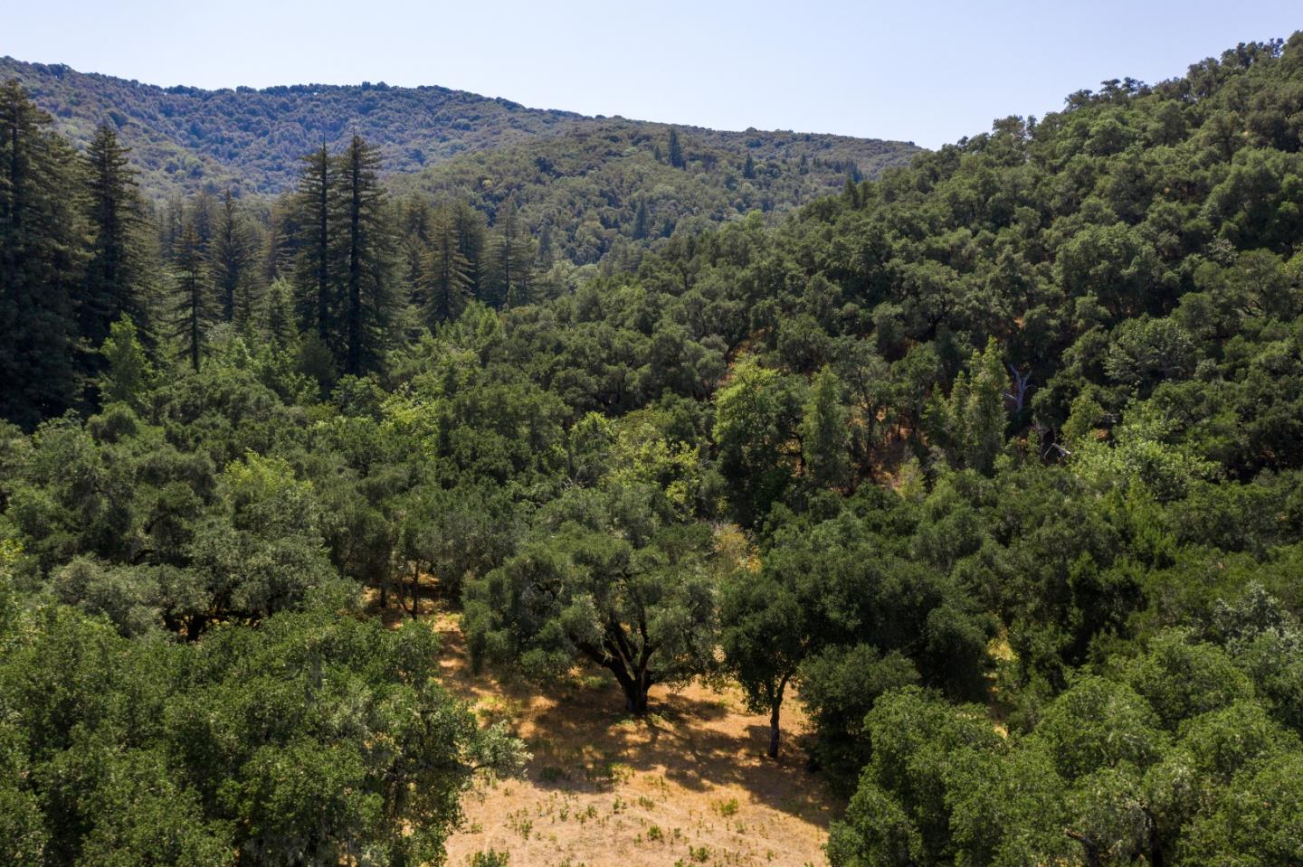 12 Arroyo Sequoia, CARMEL, California 93923, ,Lots And Land,For Sale,Arroyo Sequoia,40965630