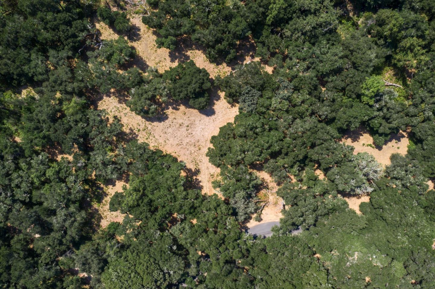 12 Arroyo Sequoia, CARMEL, California 93923, ,Lots And Land,For Sale,Arroyo Sequoia,40965630