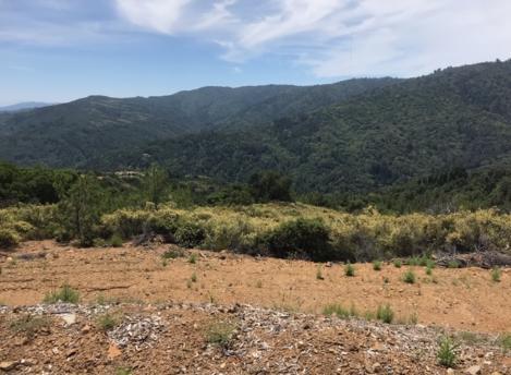 0 Croy, MORGAN HILL, California 95037, ,Lots And Land,For Sale,Croy,40965642