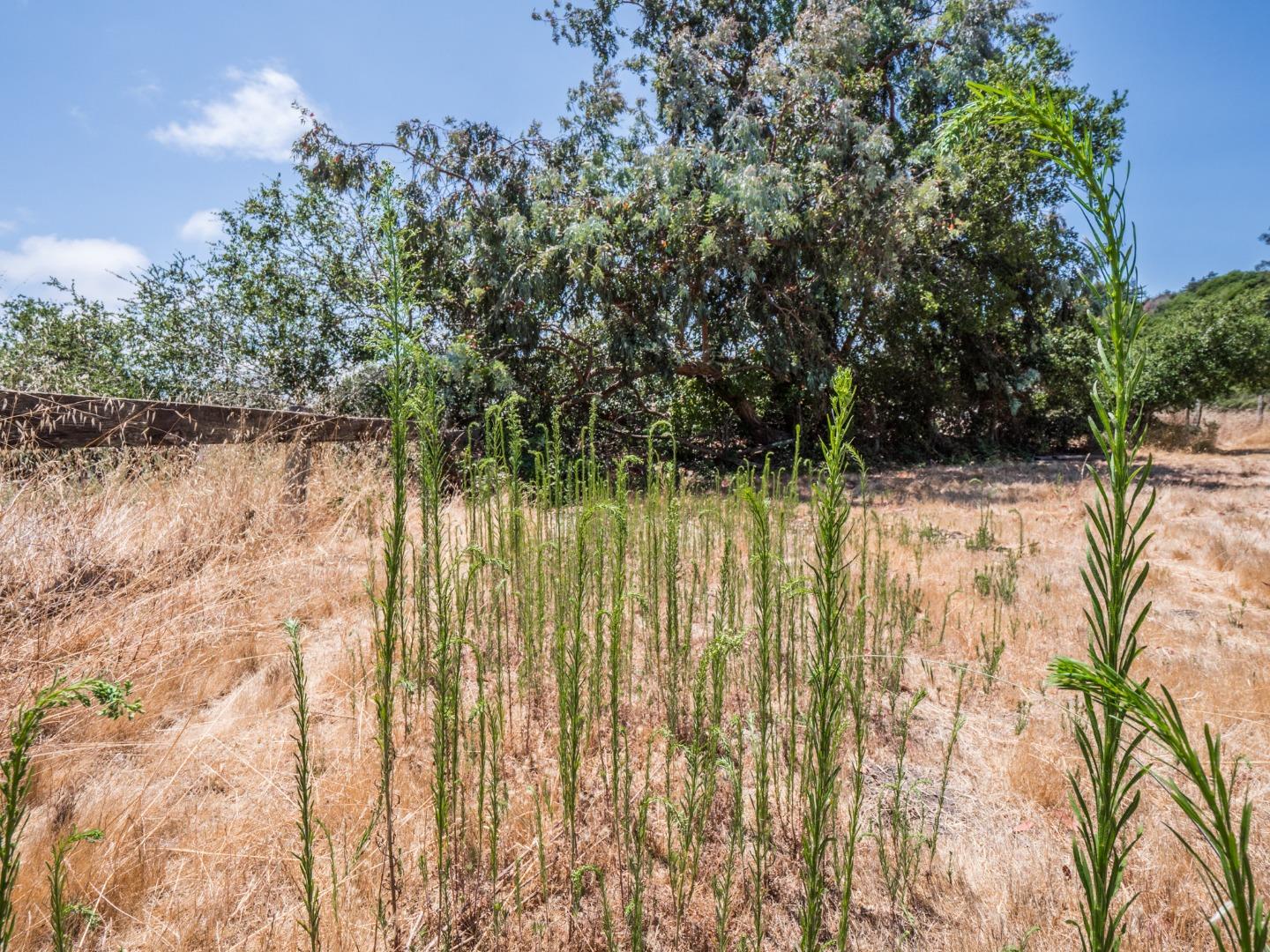 00 Old San Jose Road, SOQUEL, California 95073, ,Lots And Land,For Sale,Old San Jose Road,40965644