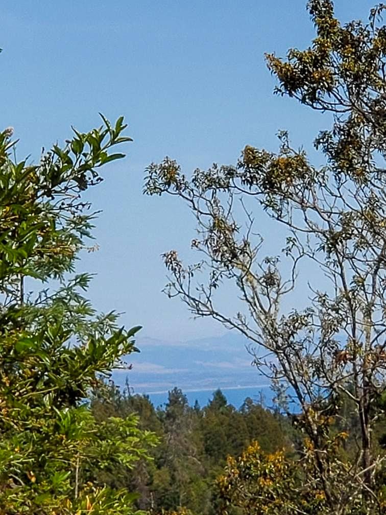 106 Gleason Way, SANTA CRUZ, California 95060, ,Lots And Land,For Sale,Gleason Way,40965650