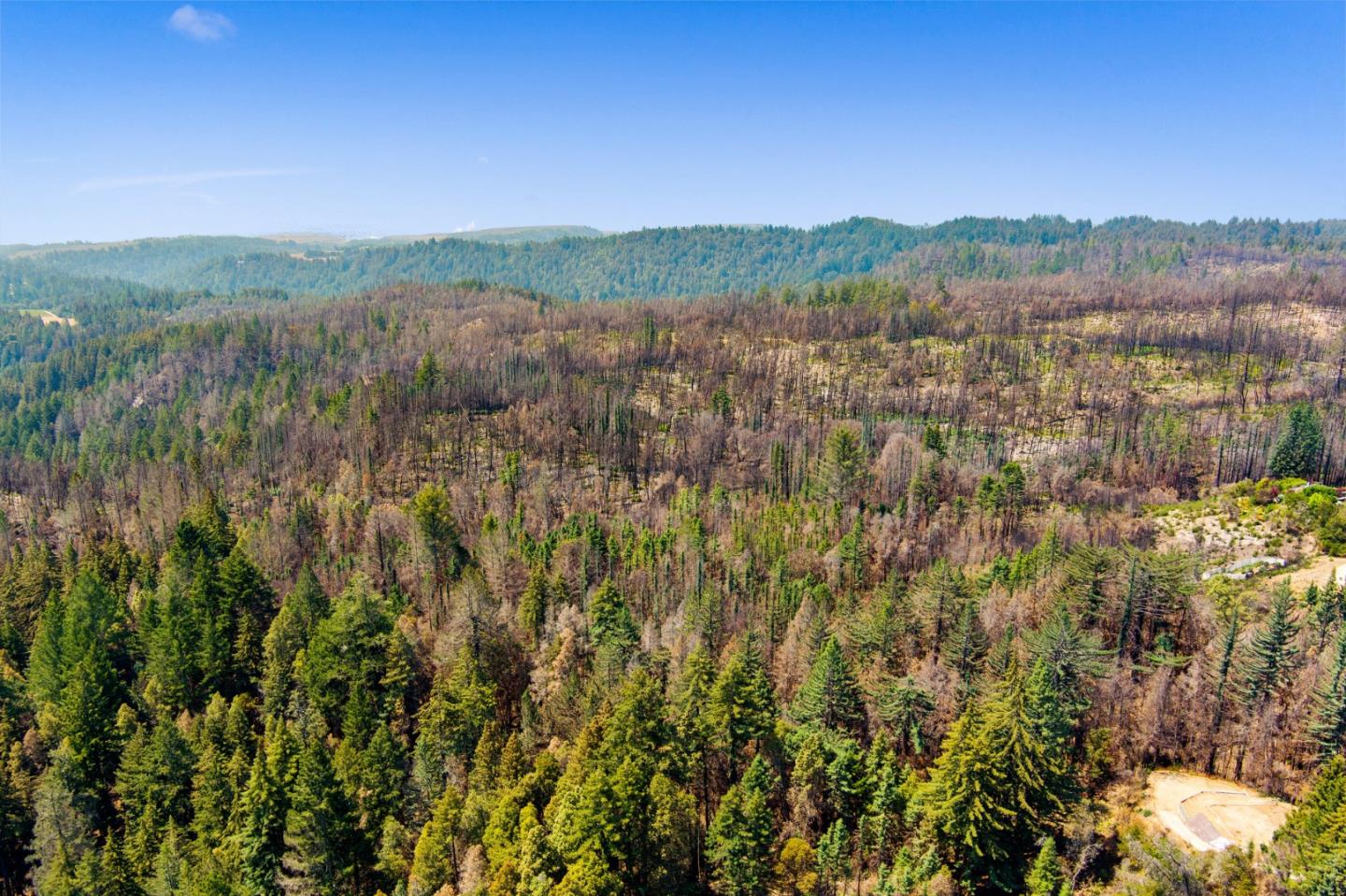 106 Gleason Way, SANTA CRUZ, California 95060, ,Lots And Land,For Sale,Gleason Way,40965650