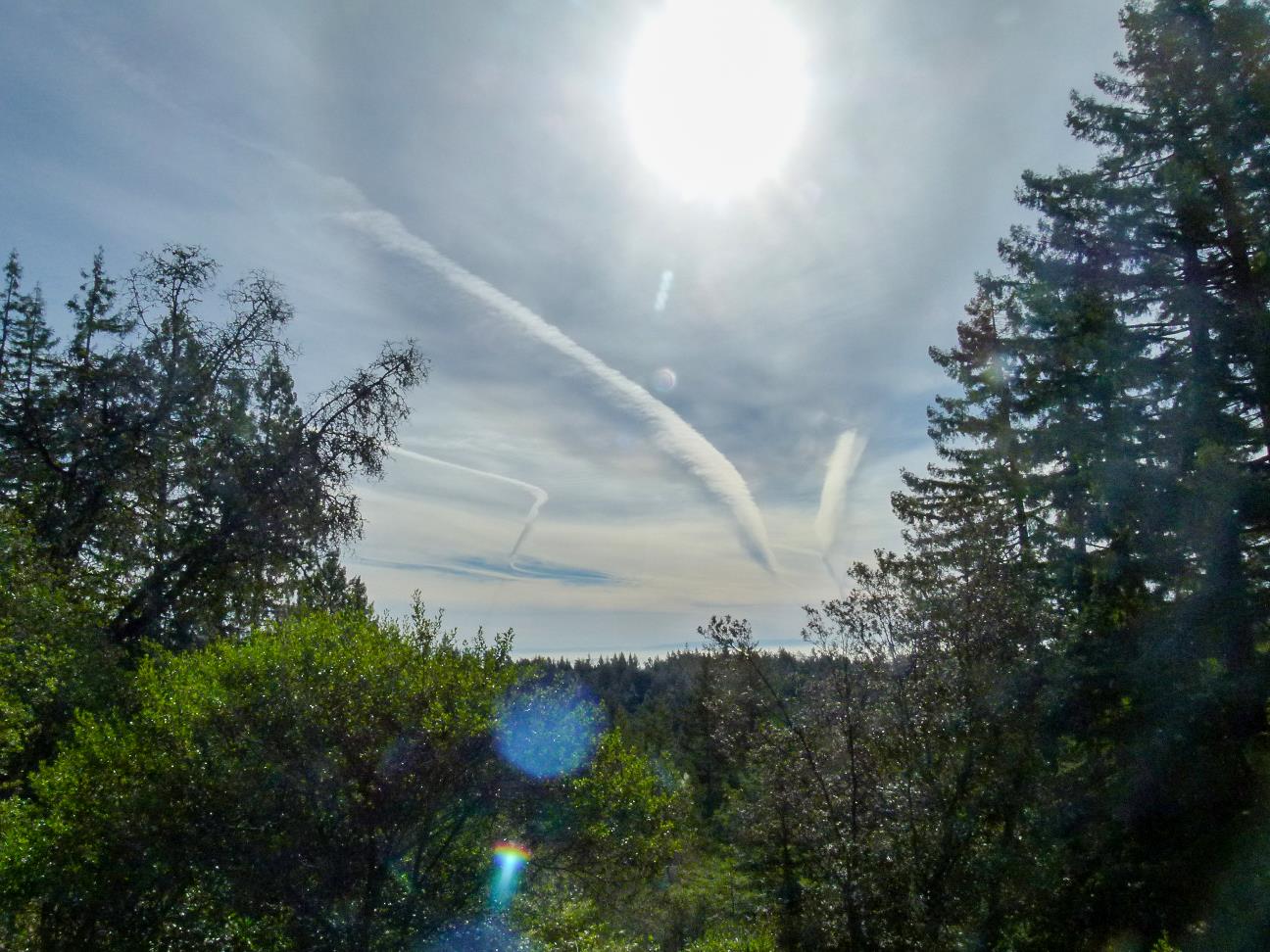 106 Gleason Way, SANTA CRUZ, California 95060, ,Lots And Land,For Sale,Gleason Way,40965650