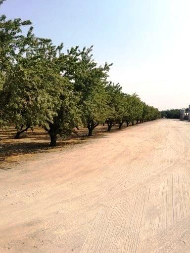 5201 Griffin Road, HUGHSON, California 95326, ,Lots And Land,For Sale,Griffin Road,40965659
