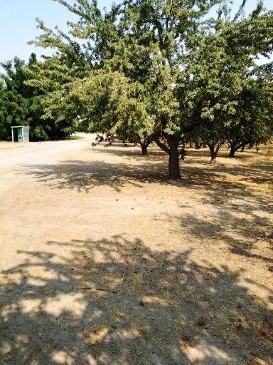 5201 Griffin Road, HUGHSON, California 95326, ,Lots And Land,For Sale,Griffin Road,40965659