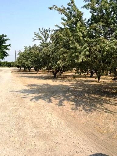 5201 Griffin Road, HUGHSON, California 95326, ,Lots And Land,For Sale,Griffin Road,40965659