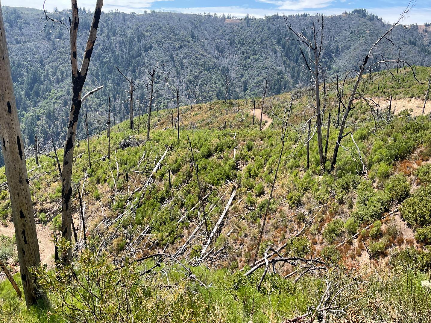 32000 Loma Chiquita Road, LOS GATOS, California 95033, ,Lots And Land,For Sale,Loma Chiquita Road,40965660