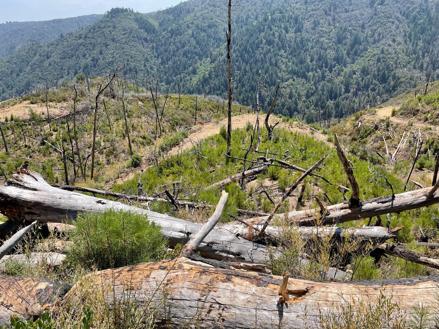 32000 Loma Chiquita Road, LOS GATOS, California 95033, ,Lots And Land,For Sale,Loma Chiquita Road,40965660