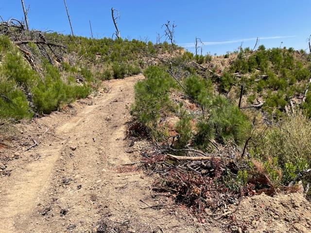 32000 Loma Chiquita Road, LOS GATOS, California 95033, ,Lots And Land,For Sale,Loma Chiquita Road,40965660