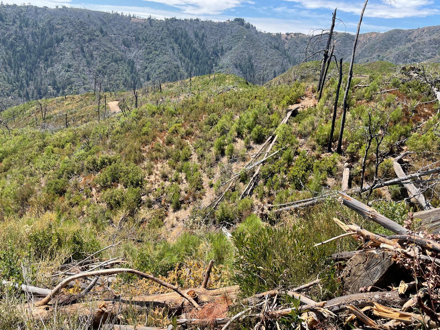 32000 Loma Chiquita Road, LOS GATOS, California 95033, ,Lots And Land,For Sale,Loma Chiquita Road,40965660