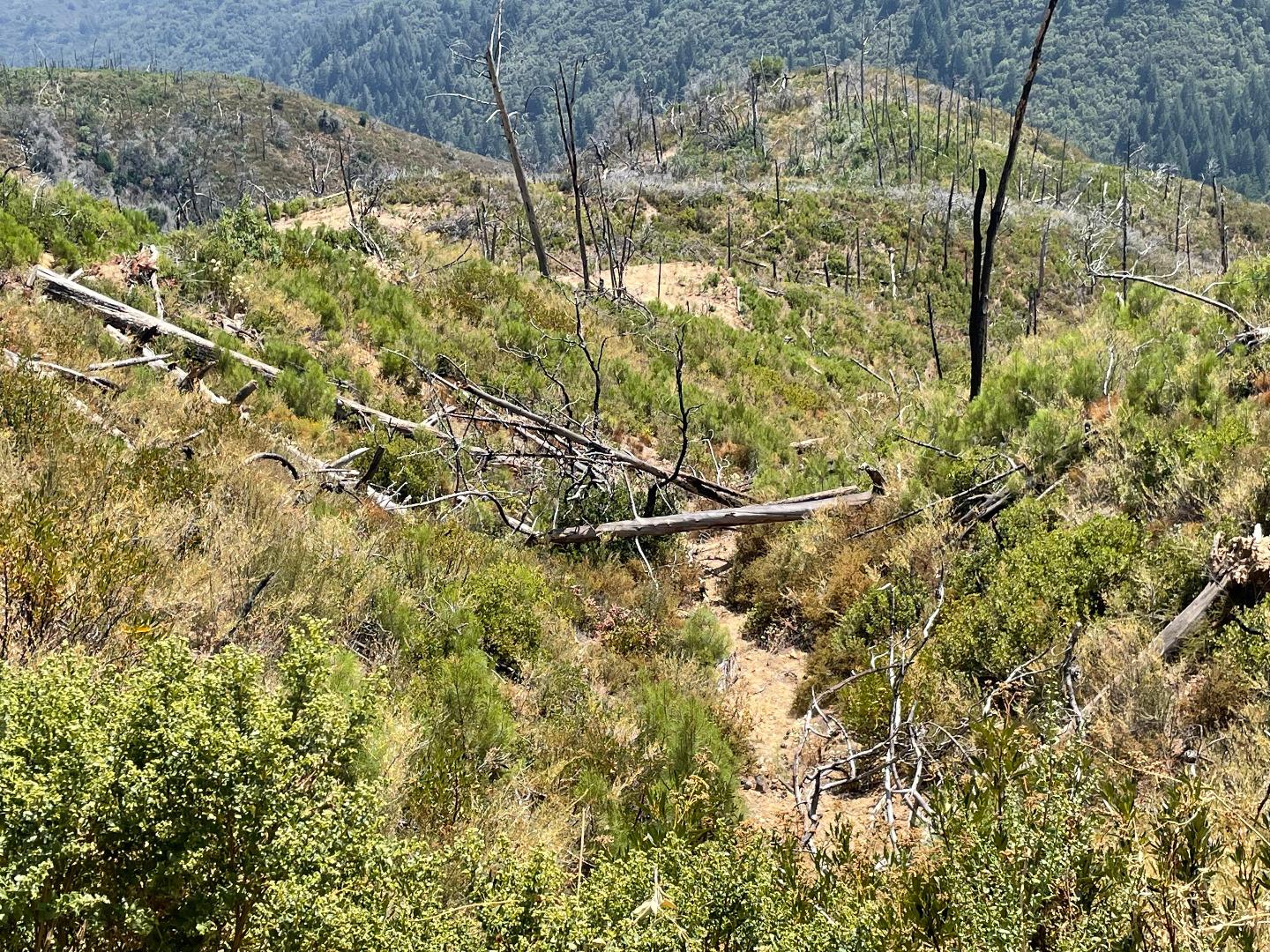 32000 Loma Chiquita Road, LOS GATOS, California 95033, ,Lots And Land,For Sale,Loma Chiquita Road,40965660