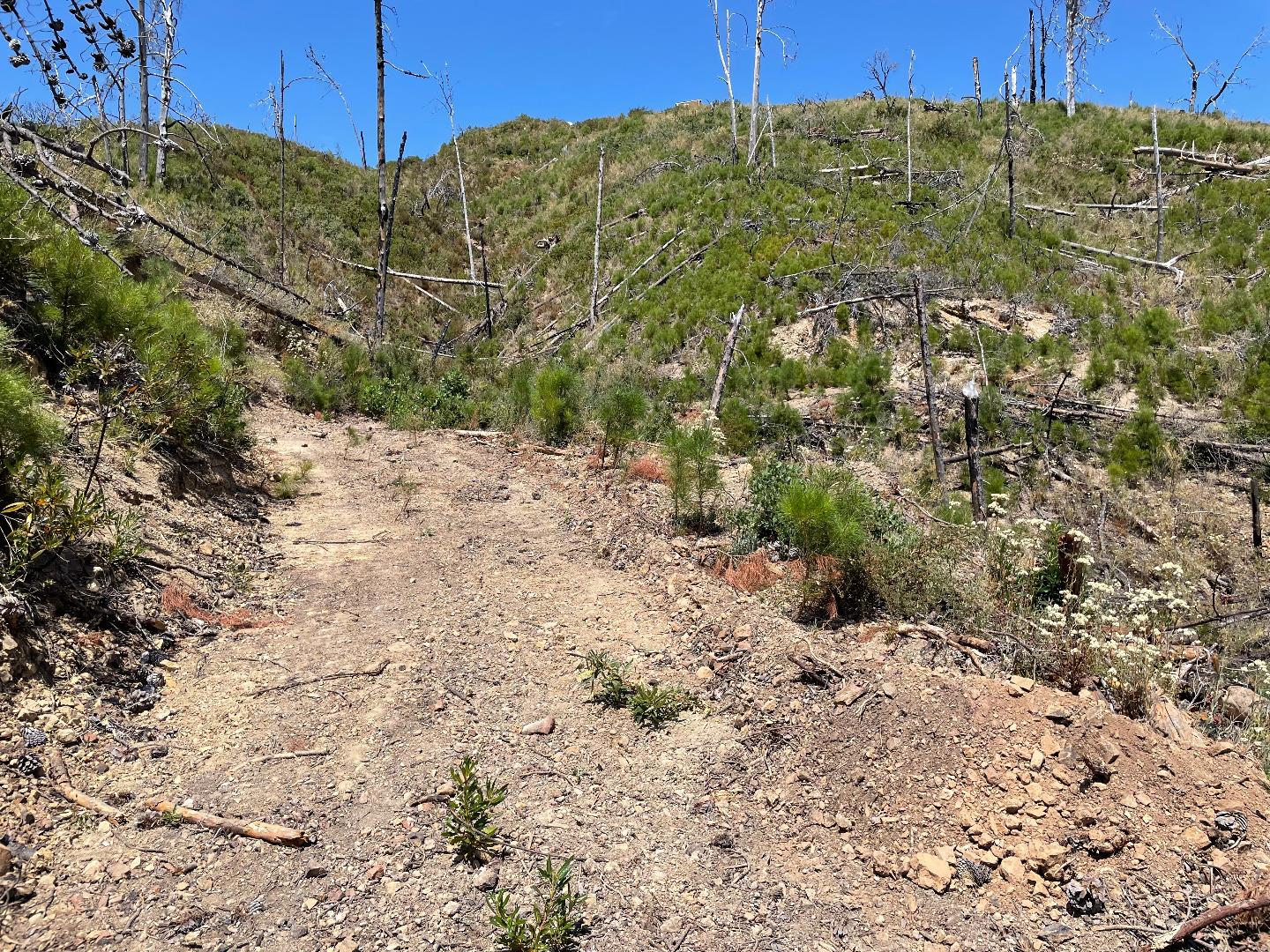 32000 Loma Chiquita Road, LOS GATOS, California 95033, ,Lots And Land,For Sale,Loma Chiquita Road,40965660