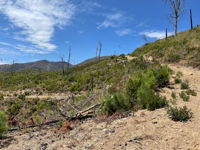 32000 Loma Chiquita Road, LOS GATOS, California 95033, ,Lots And Land,For Sale,Loma Chiquita Road,40965660