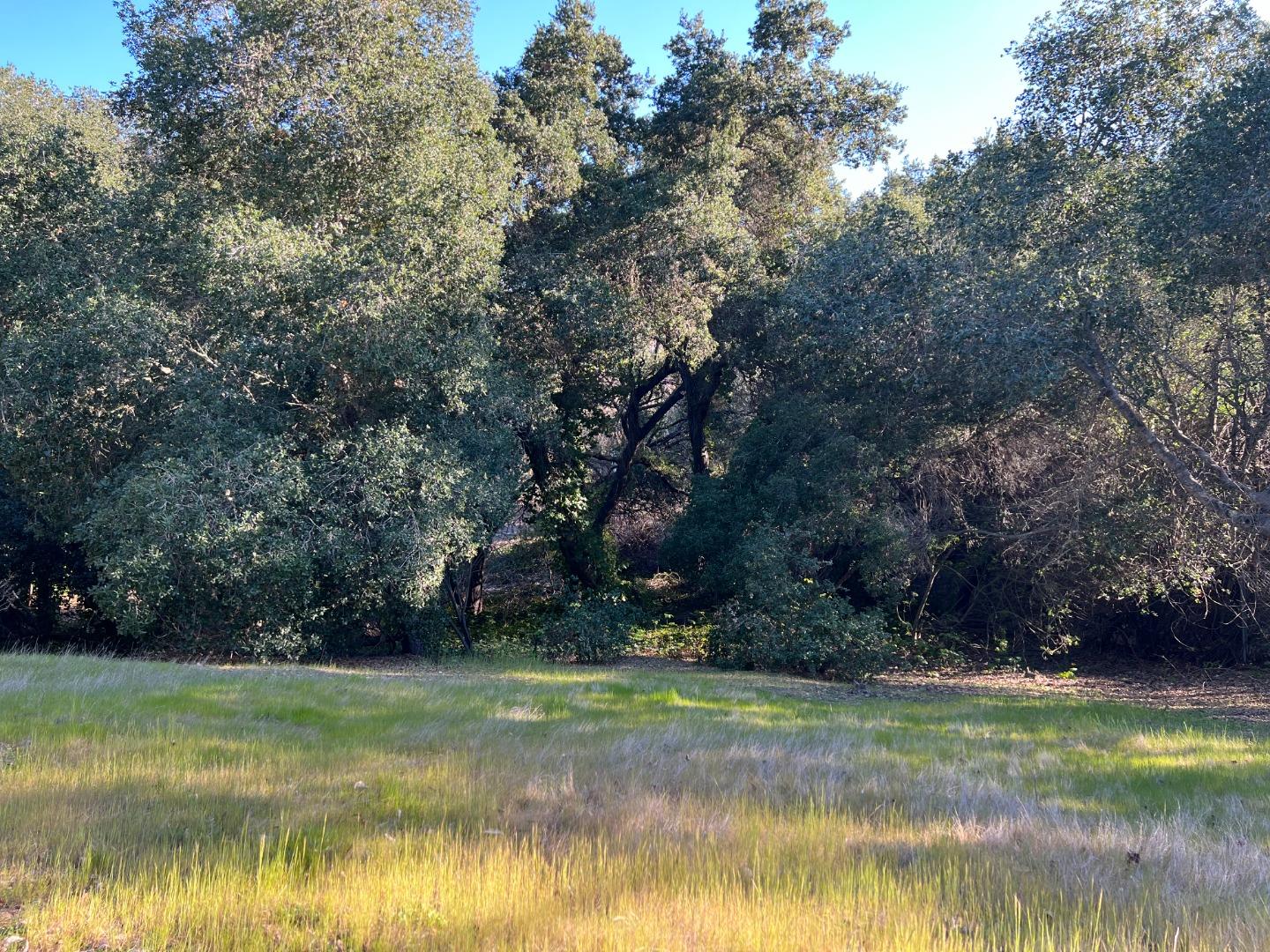 0 Niblick Avenue, LOS ALTOS, California 94024, ,Lots And Land,For Sale,Niblick Avenue,40965667