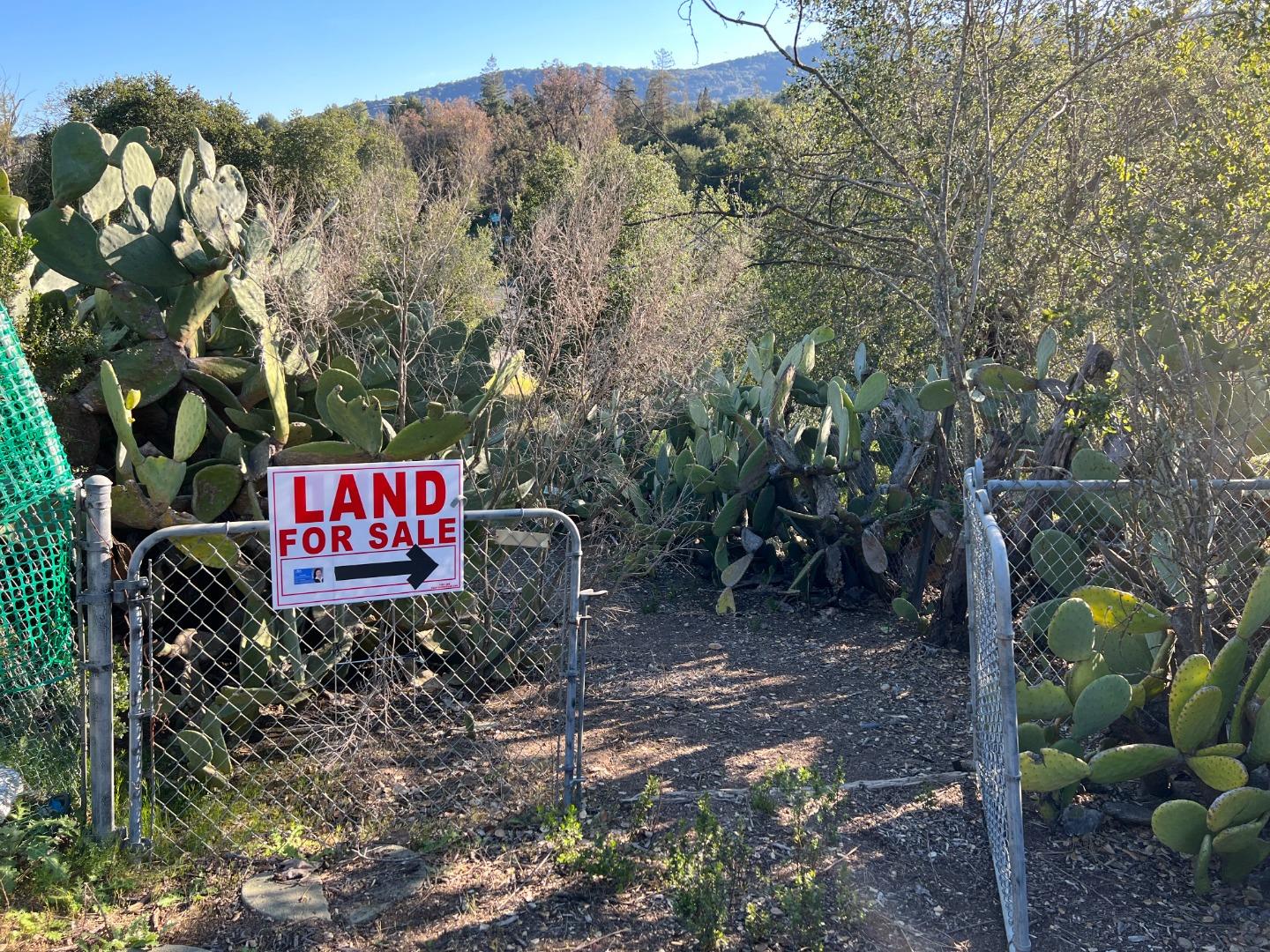 0 Niblick Avenue, LOS ALTOS, California 94024, ,Lots And Land,For Sale,Niblick Avenue,40965667