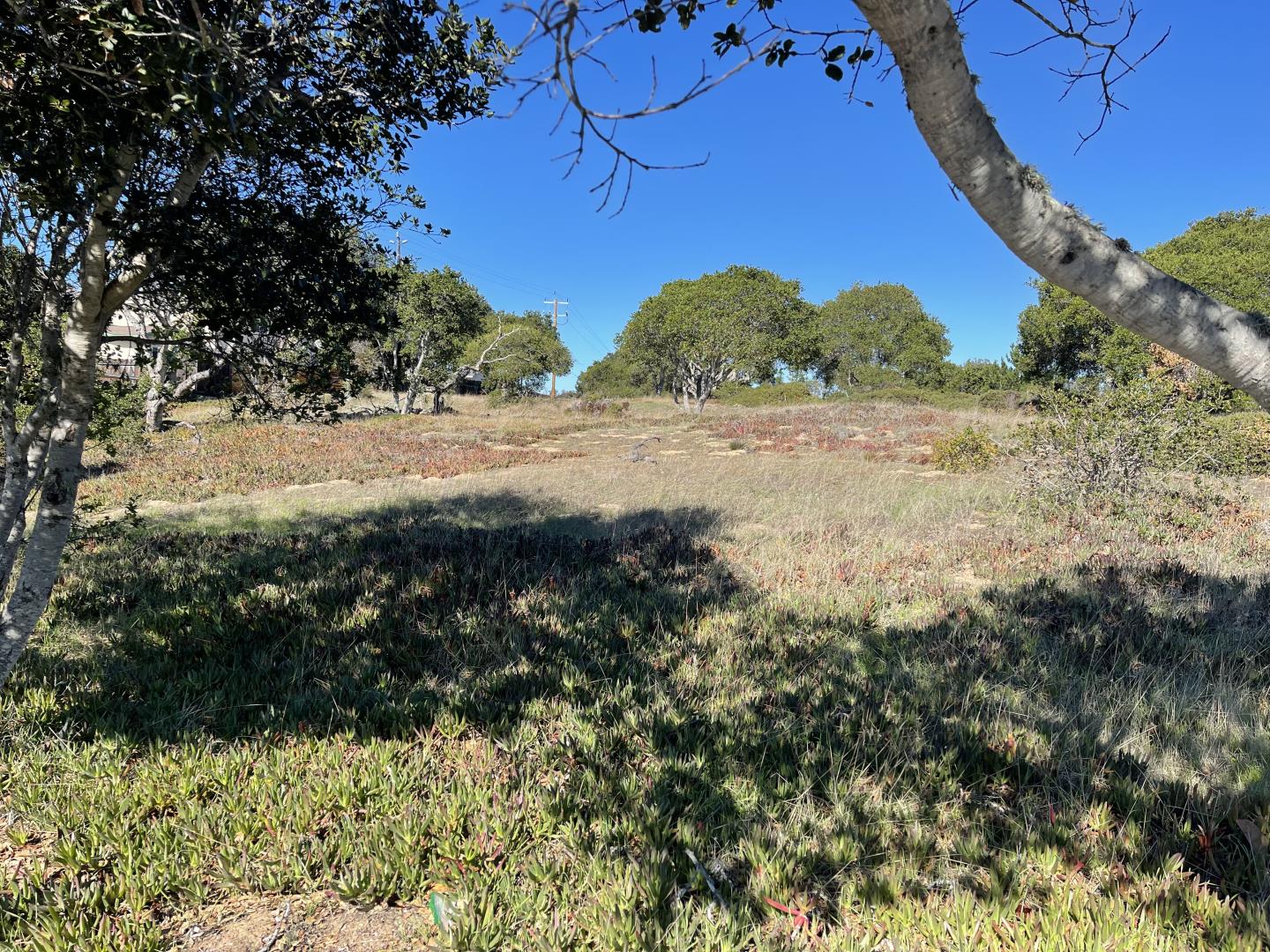 0 Kimball Avenue, SEASIDE, California 93955, ,Lots And Land,For Sale,Kimball Avenue,40965671
