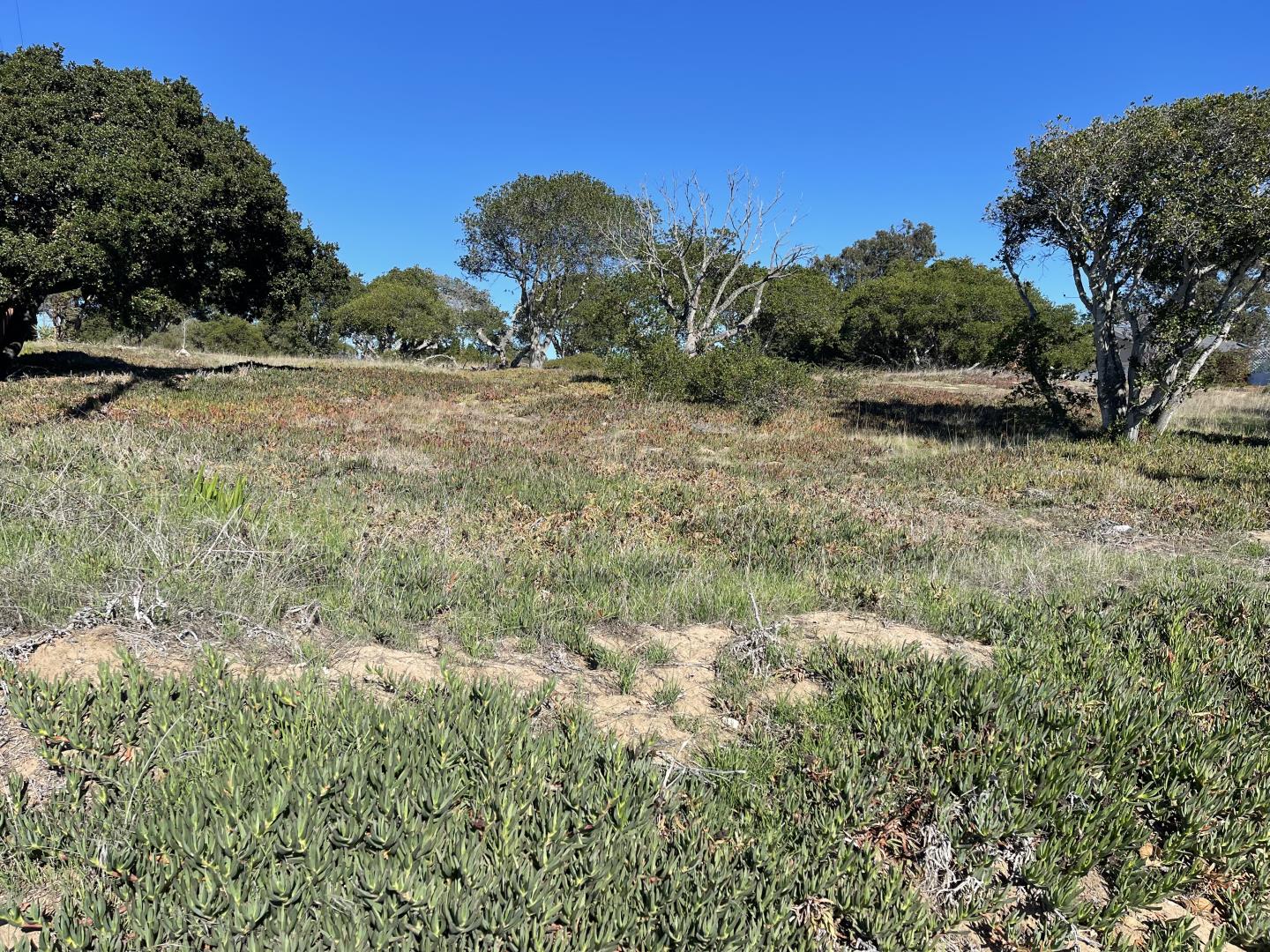 0 Kimball Avenue, SEASIDE, California 93955, ,Lots And Land,For Sale,Kimball Avenue,40965671