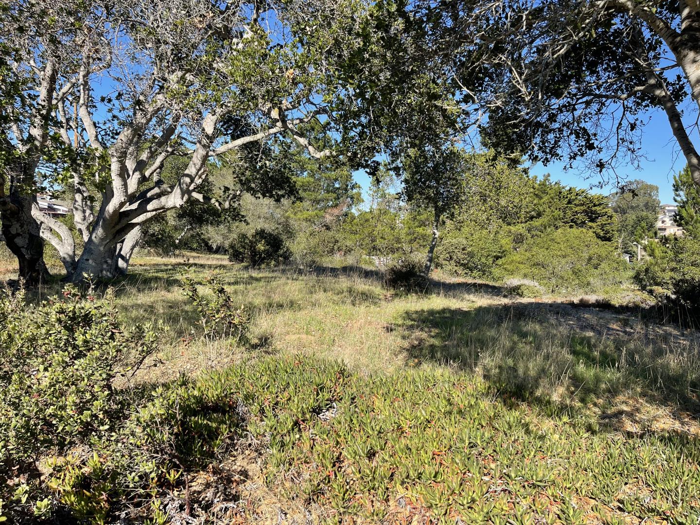 0 Kimball Avenue, SEASIDE, California 93955, ,Lots And Land,For Sale,Kimball Avenue,40965671