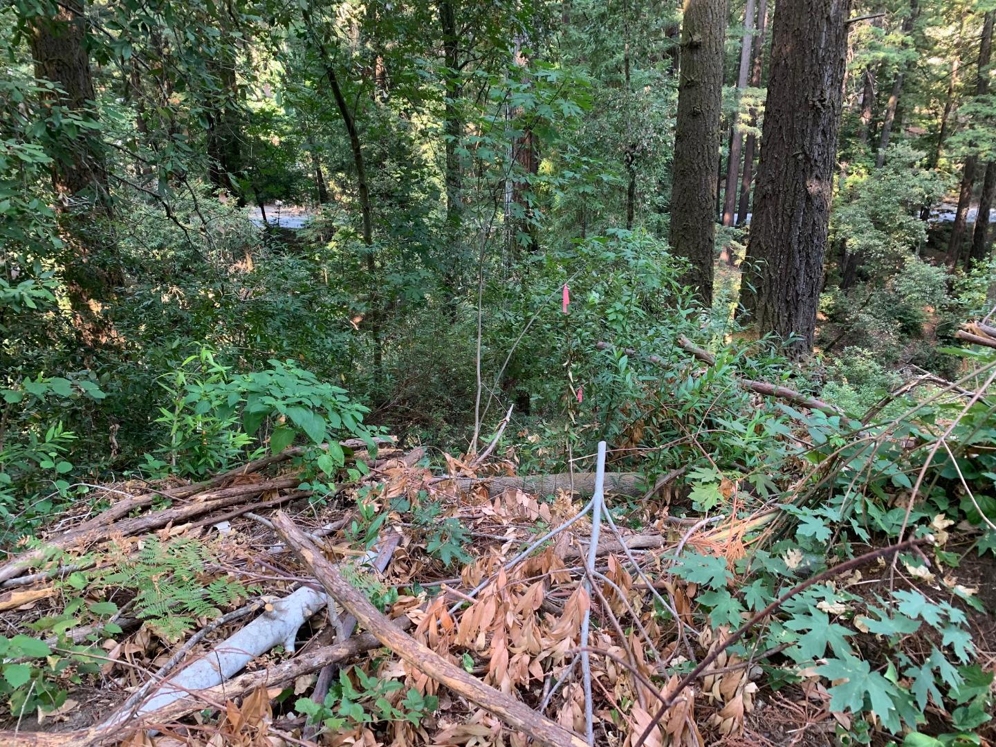 616 Lilac Avenue, BOULDER CREEK, California 95006, ,Lots And Land,For Sale,Lilac Avenue,40965708