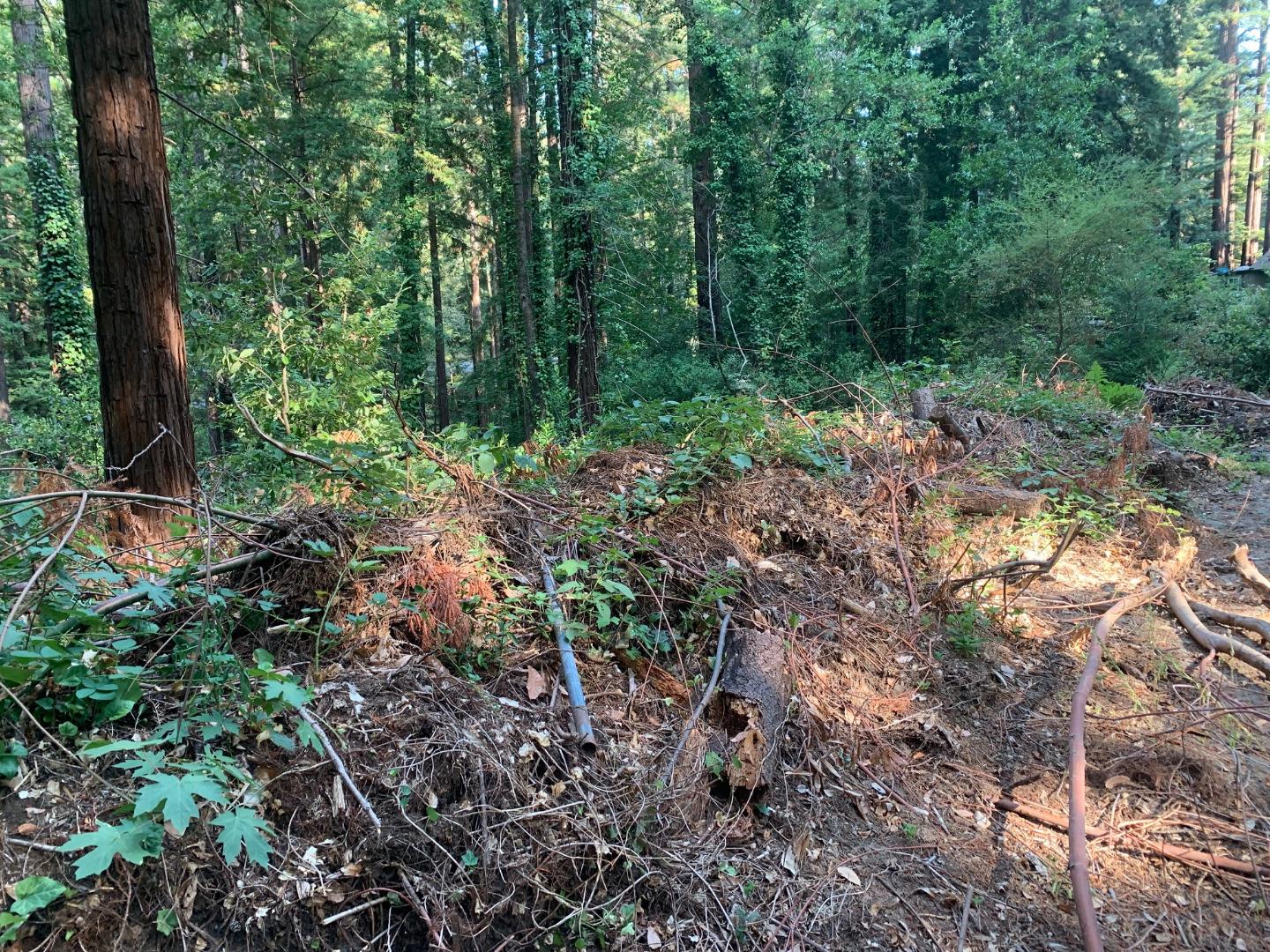 616 Lilac Avenue, BOULDER CREEK, California 95006, ,Lots And Land,For Sale,Lilac Avenue,40965708