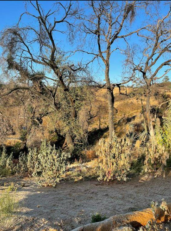 34951 Sky Ranch Road, CARMEL VALLEY, California 93924, ,Lots And Land,For Sale,Sky Ranch Road,40965752