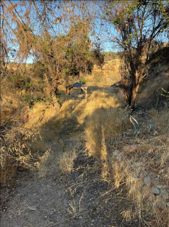 34951 Sky Ranch Road, CARMEL VALLEY, California 93924, ,Lots And Land,For Sale,Sky Ranch Road,40965752