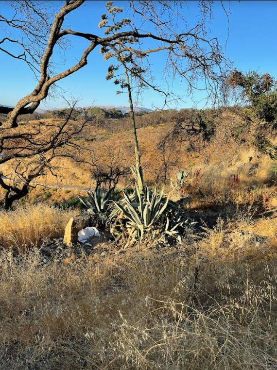 34951 Sky Ranch Road, CARMEL VALLEY, California 93924, ,Lots And Land,For Sale,Sky Ranch Road,40965752