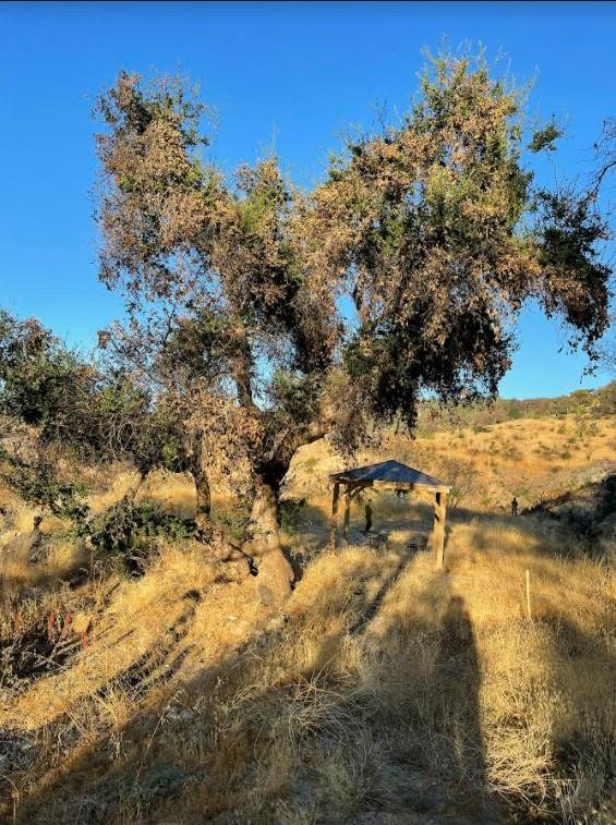 34951 Sky Ranch Road, CARMEL VALLEY, California 93924, ,Lots And Land,For Sale,Sky Ranch Road,40965752