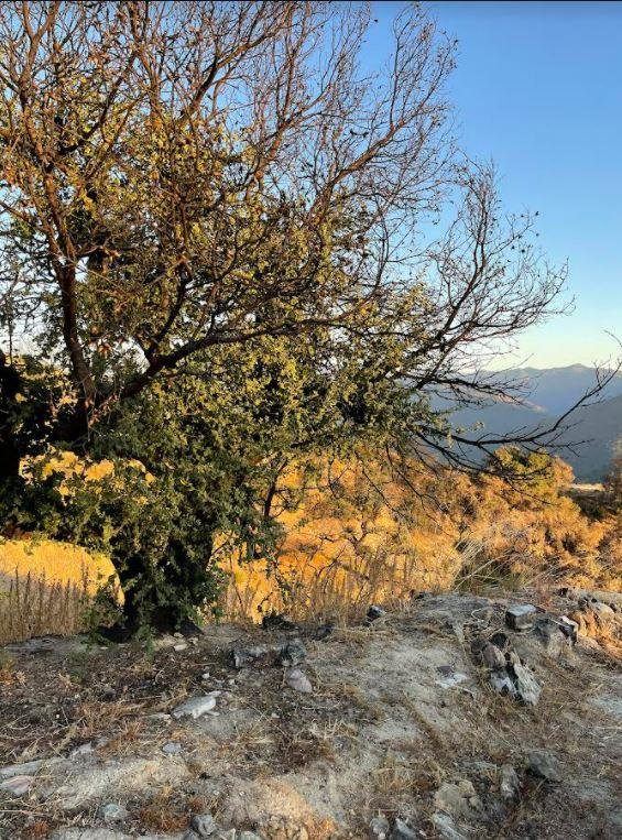 34951 Sky Ranch Road, CARMEL VALLEY, California 93924, ,Lots And Land,For Sale,Sky Ranch Road,40965752