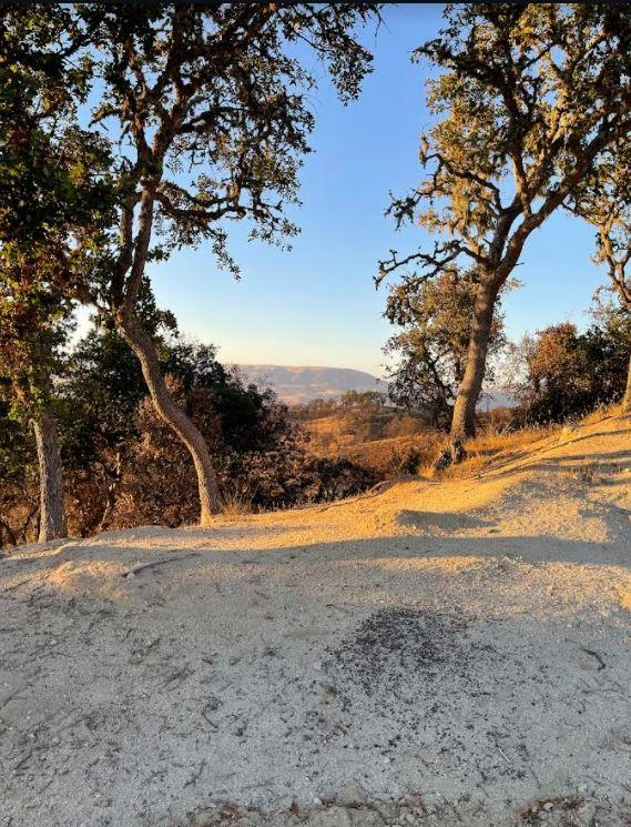 34951 Sky Ranch Road, CARMEL VALLEY, California 93924, ,Lots And Land,For Sale,Sky Ranch Road,40965752
