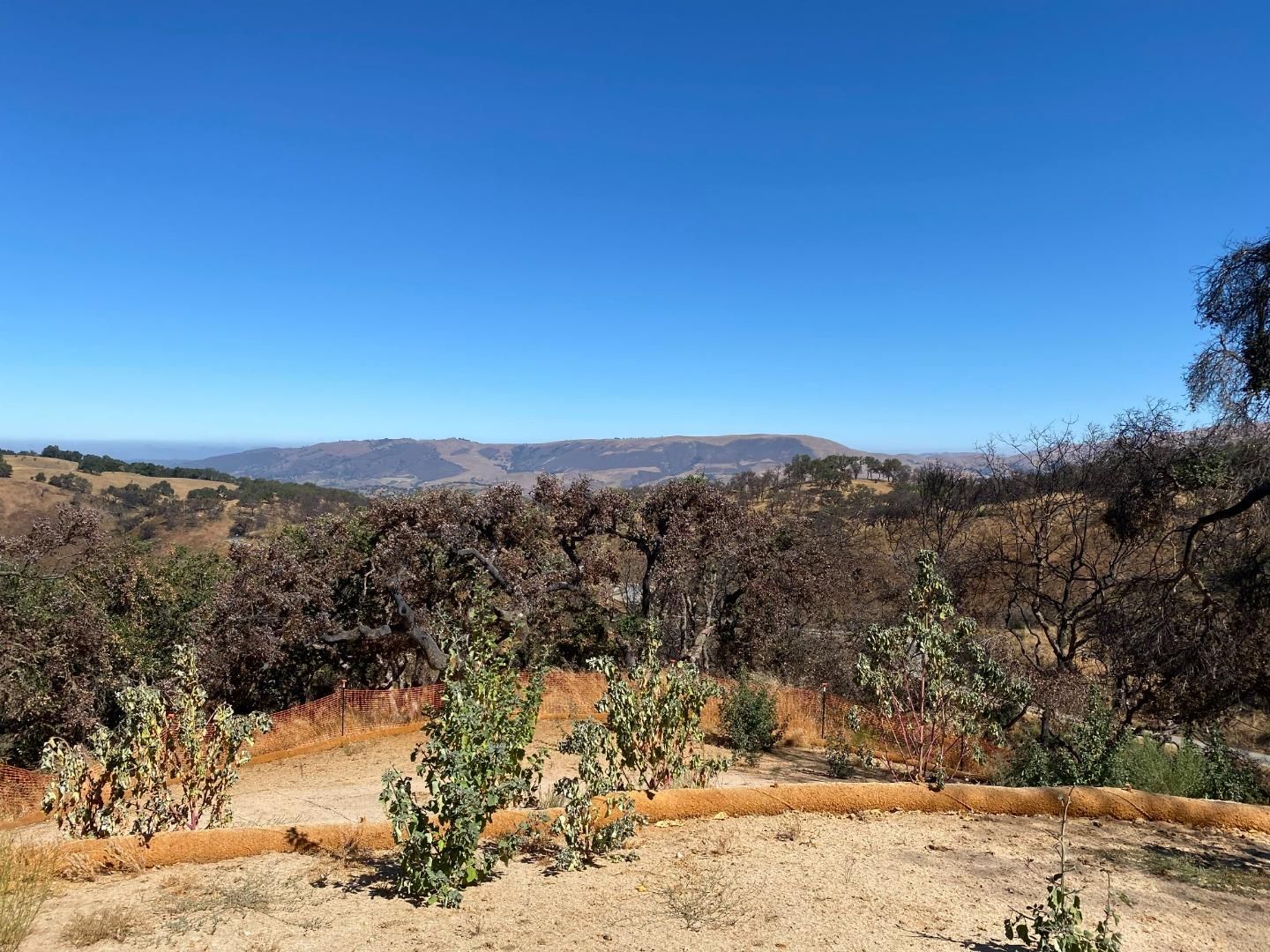 34951 Sky Ranch Road, CARMEL VALLEY, California 93924, ,Lots And Land,For Sale,Sky Ranch Road,40965752