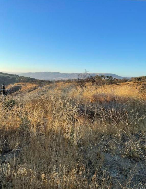 34951 Sky Ranch Road, CARMEL VALLEY, California 93924, ,Lots And Land,For Sale,Sky Ranch Road,40965752