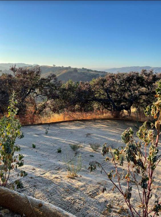 34951 Sky Ranch Road, CARMEL VALLEY, California 93924, ,Lots And Land,For Sale,Sky Ranch Road,40965752