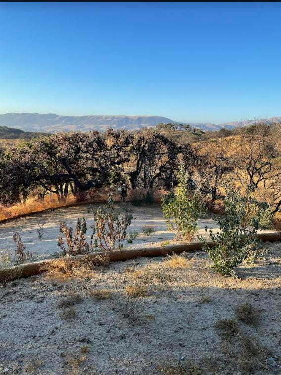 34951 Sky Ranch Road, CARMEL VALLEY, California 93924, ,Lots And Land,For Sale,Sky Ranch Road,40965752