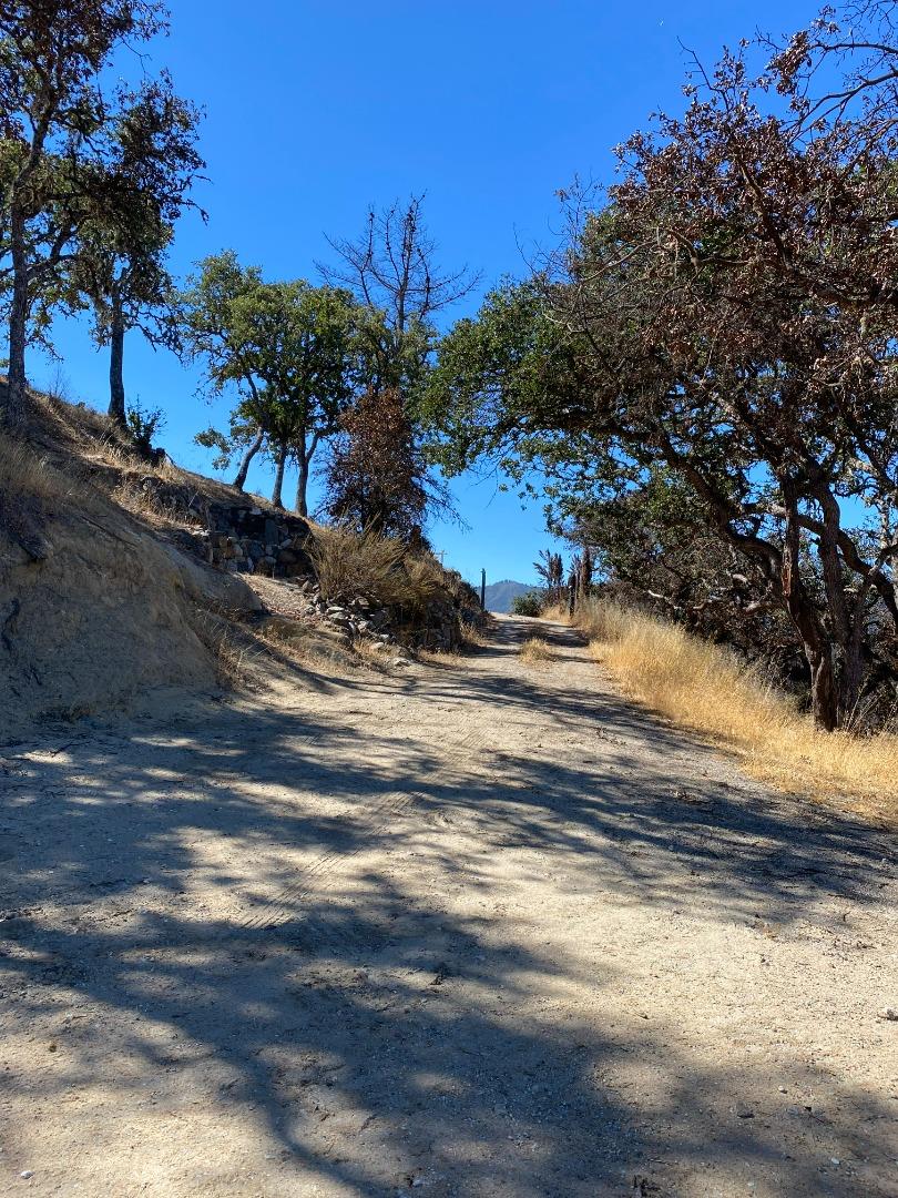 34951 Sky Ranch Road, CARMEL VALLEY, California 93924, ,Lots And Land,For Sale,Sky Ranch Road,40965752
