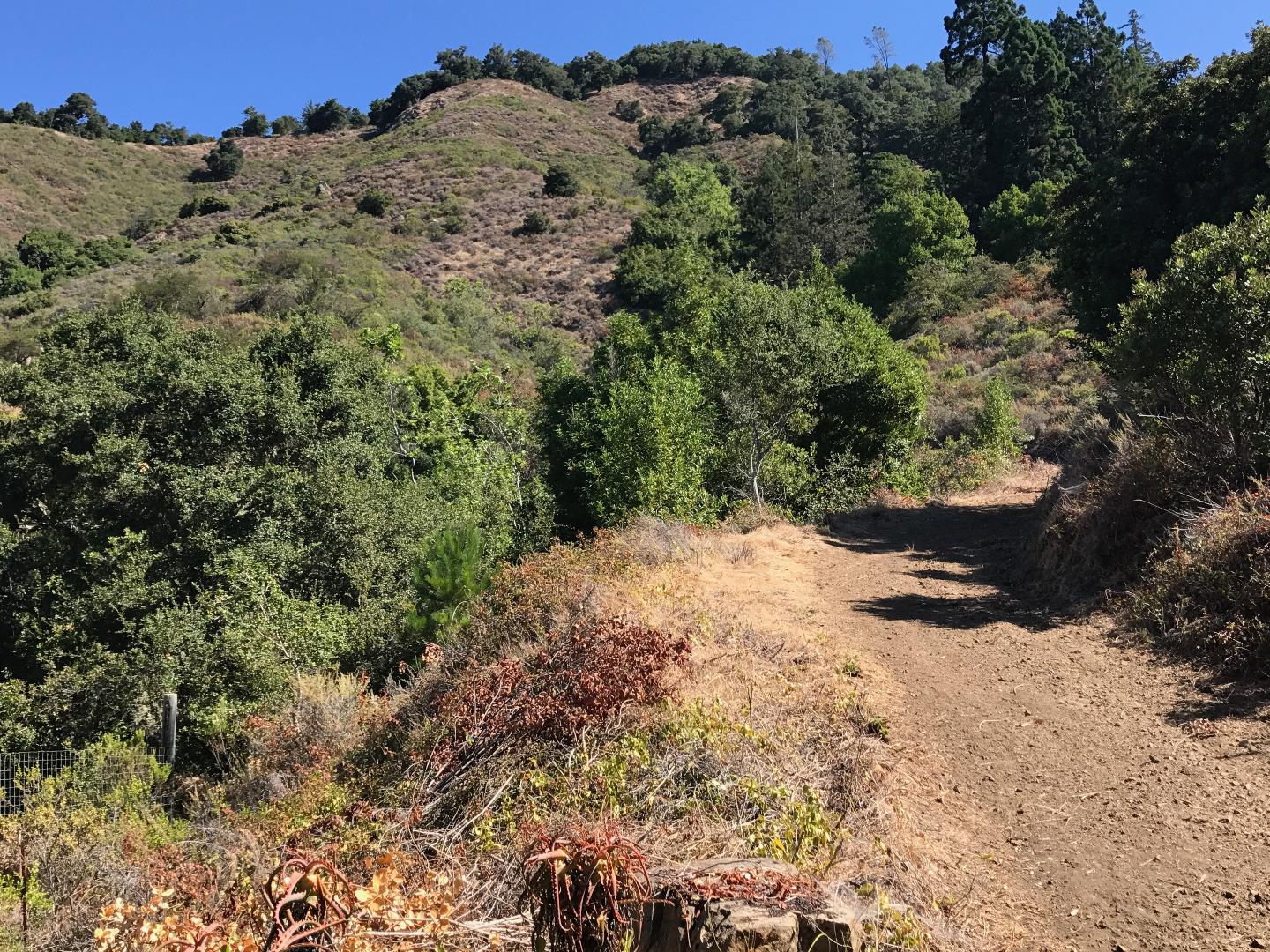 19 Gorda Mountain Road, BIG SUR, California 93920, ,Lots And Land,For Sale,Gorda Mountain Road,40965753