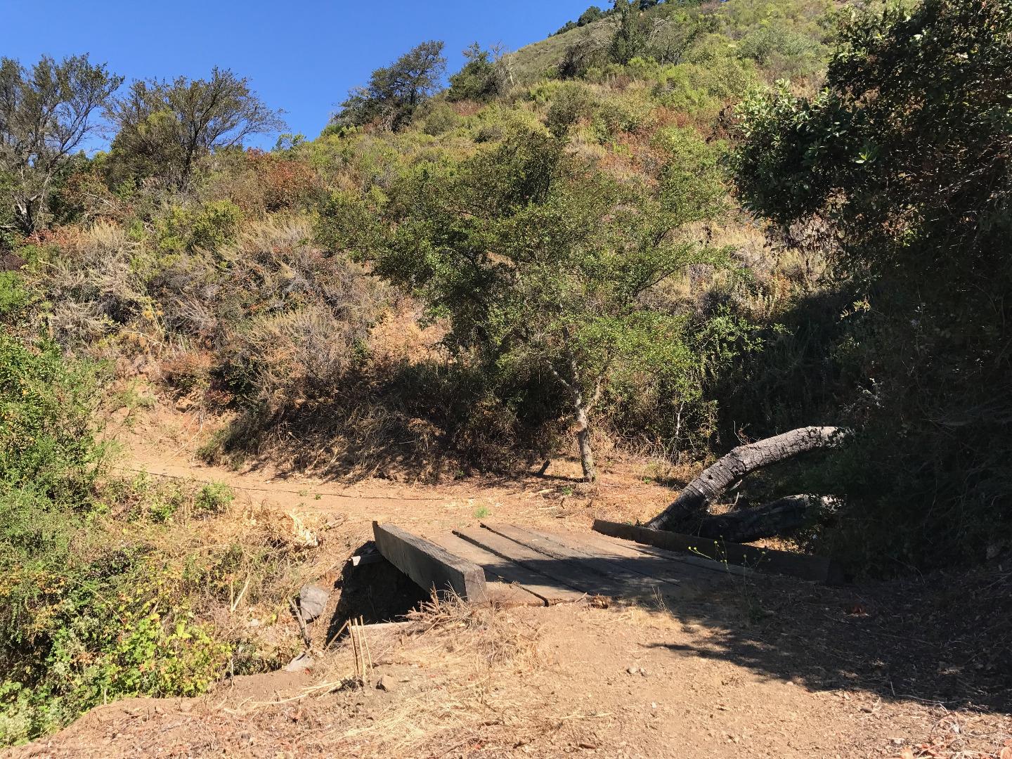 19 Gorda Mountain Road, BIG SUR, California 93920, ,Lots And Land,For Sale,Gorda Mountain Road,40965753