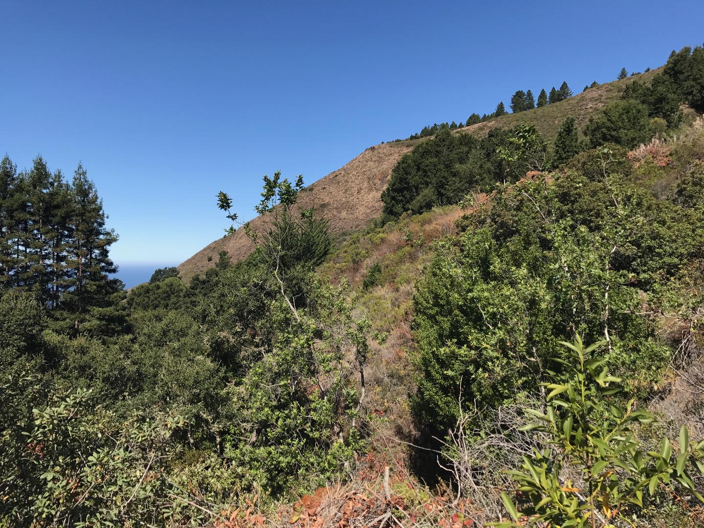 19 Gorda Mountain Road, BIG SUR, California 93920, ,Lots And Land,For Sale,Gorda Mountain Road,40965753