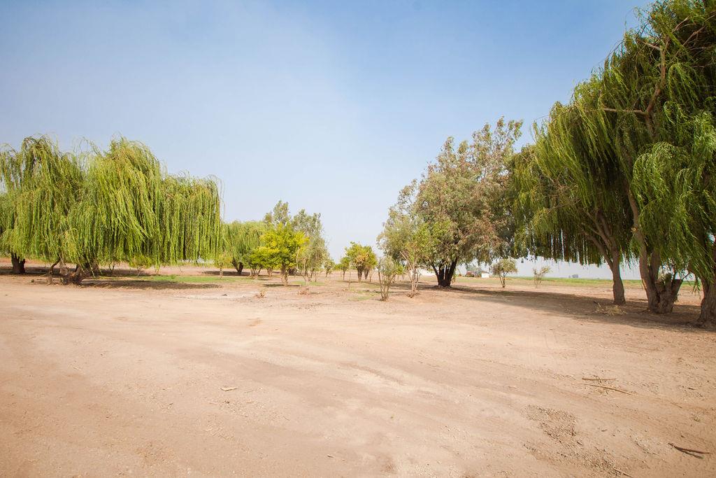 3695 Dickenson Ferry Road, MERCED, California 95341, ,Lots And Land,For Sale,Dickenson Ferry Road,40965756