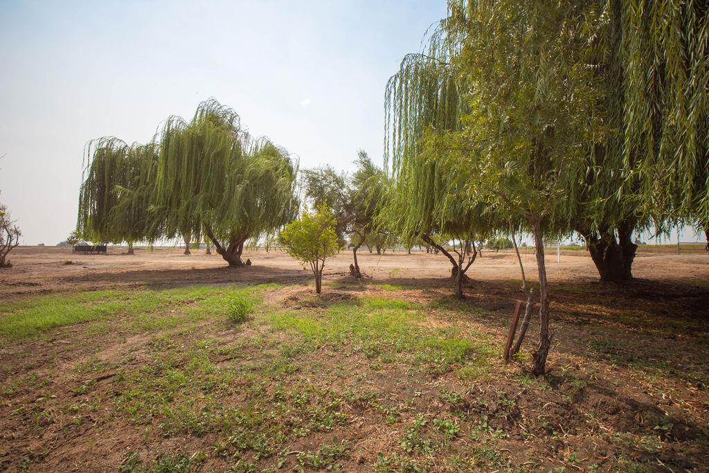 3695 Dickenson Ferry Road, MERCED, California 95341, ,Lots And Land,For Sale,Dickenson Ferry Road,40965756