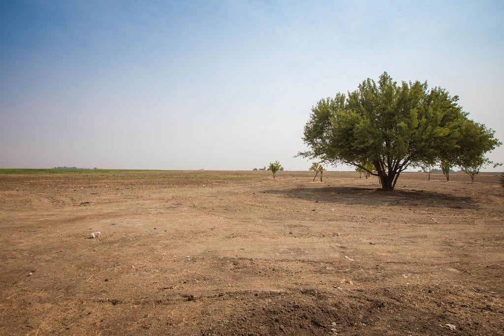 3695 Dickenson Ferry Road, MERCED, California 95341, ,Lots And Land,For Sale,Dickenson Ferry Road,40965756